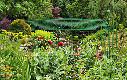 Monet's Garden Giverny