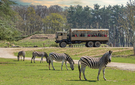 Thoiry Zoo safari